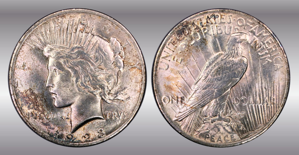 My-Raw-Peace-Dollar-Collection.-.-.-.-Warning!